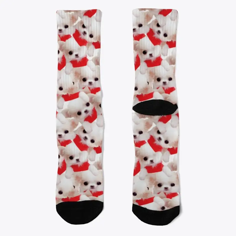 Chihuahua Cute Dog Leggings for Women